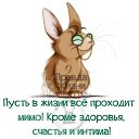 ���� ������, ��������� - ��������� 5 ������� 2014 � ������ ���� ����������