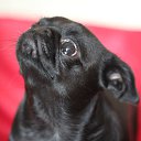 ���� �����, ������������ - ��������� 24 �������� 2014 � ������ ���� ����������