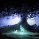 ���� ������, ������� - ��������� 3 ������� 2014 � ������ ���� ����������