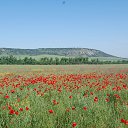  ,  -  7  2014    )))