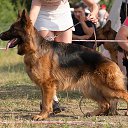      - 05.07.2014     - 2014