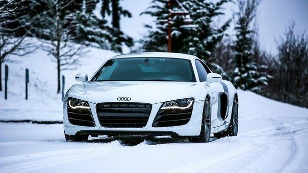 Audi R8