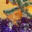 ���� �������, ���� - ��������� 23 ������� 2014 � ������ ���� ����� �����)))�