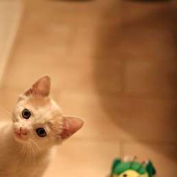 ���� ������, ������, 49 ��� - ��������� 3 �������� 2014