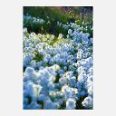 ���� �������, ���������, 47 ��� - ��������� 1 ������� 2014