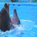 ���� ������, �������, 64 ���� - ��������� 1 �������� 2014 � ������ ���� ����������