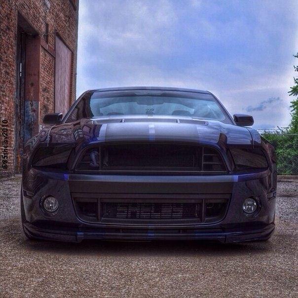 Shelby GT500. - 6