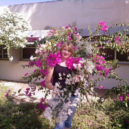 ���� ��������, �����������, 43 ���� - ��������� 14 �������� 2014