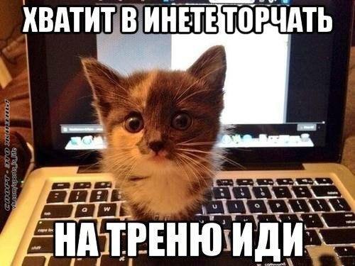  -   - 7  2014  15:07