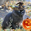  Viktoria Aleksandrina,  -  26  2014    