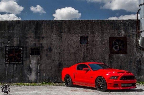 Ford Mustang - 5