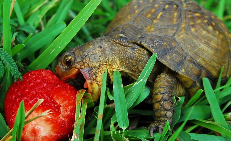 ����� ������� - 10 ������� 2014 � 08:04