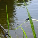  , , 60  -  28  2014     (    )