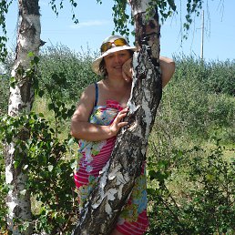 ���� ������ ����������, ��������, 67 ��� - ��������� 30 ������� 2014