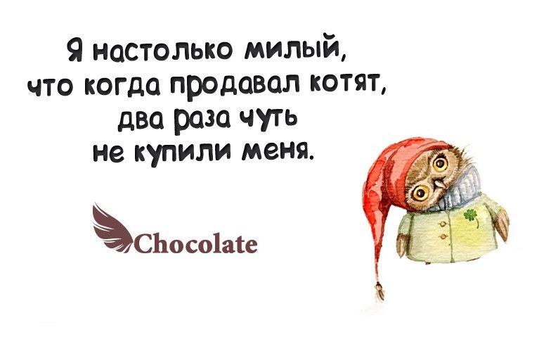 hocolate - 27  2014  21:03