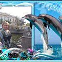 ���� ������, �����-���������, 63 ���� - ��������� 6 �������� 2014 � ������ ������ ��������