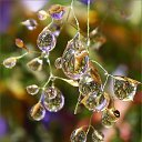 ���� �����, ������, 105 ��� - ��������� 18 ������ 2014 � ������ ������ ��������