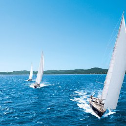 ��������, ������������, 59 ���