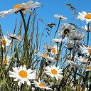 ���� ��������, ������-���, 56 ��� - ��������� 8 ������� 2014 � ������ ��������-����������