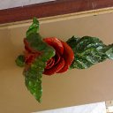 ��� ��� �� ������ � ����� ����� ������� � ������ �� ����� �������� ���� ������������ ������ ���� ������ ������ ���������� ....� ������ ������� ������� ���� ����� �������� �������� � ���� �������� � ���������� ������ �� ������� ���� ����������