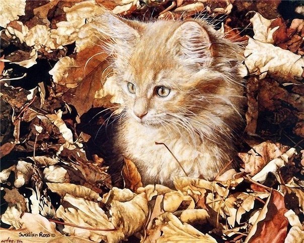 #art@catism. Sueellen Ross - 2