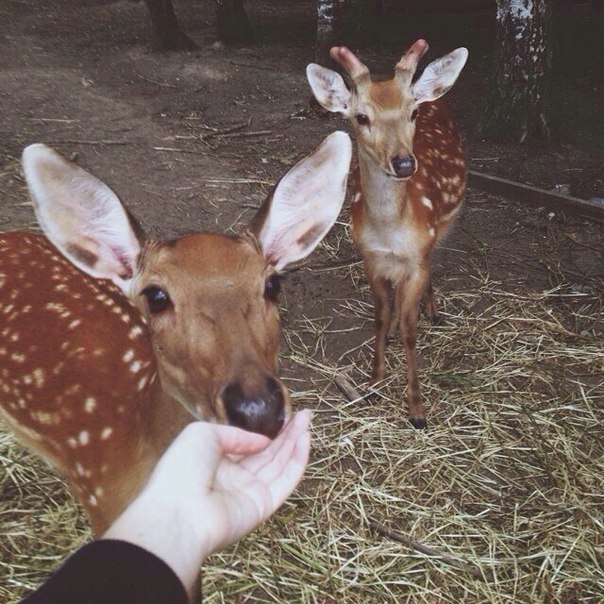 tumblr - 1  2014  10:30