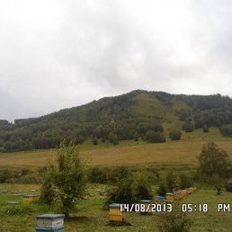 ���� Immense, �����������, 40 ��� - ��������� 16 ������� 2014