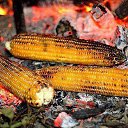 ���� Shukur Jabborov, �������, 51 ��� - ��������� 9 ������� 2014 � ������ ������ ��������