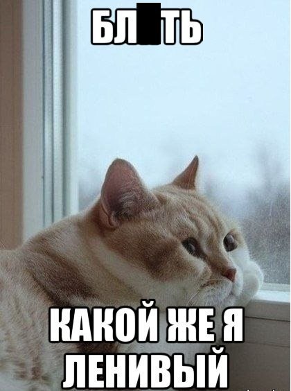   ,  : fotostrana.ru/prikolyzikfun/