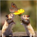 ���� �������, ��������� - ��������� 2 ������ 2014 � ������ ������ ��������