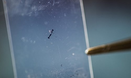 Ученые создали самый тонкий в мире электрический генератор.Генератор из дисульфида молибденаГруппа ...