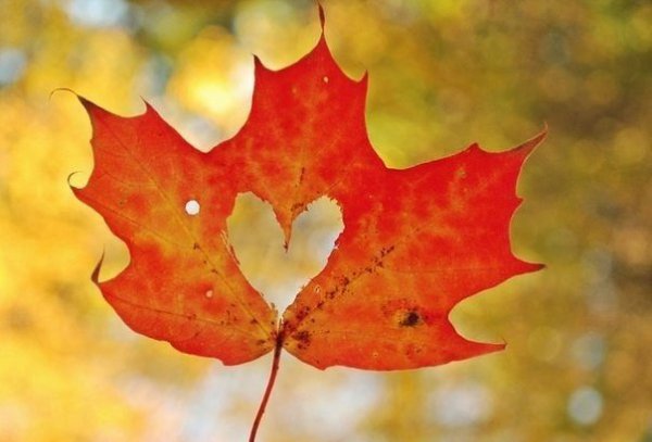 Счастье в простых вещах. Только научись их замечать и быть благодарным Богу! - 3