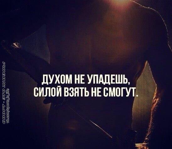  -   - 8  2014  13:18