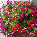 ���� ��������, �����������, 71 ��� - ��������� 14 �������� 2014 � ������ ������ ��������