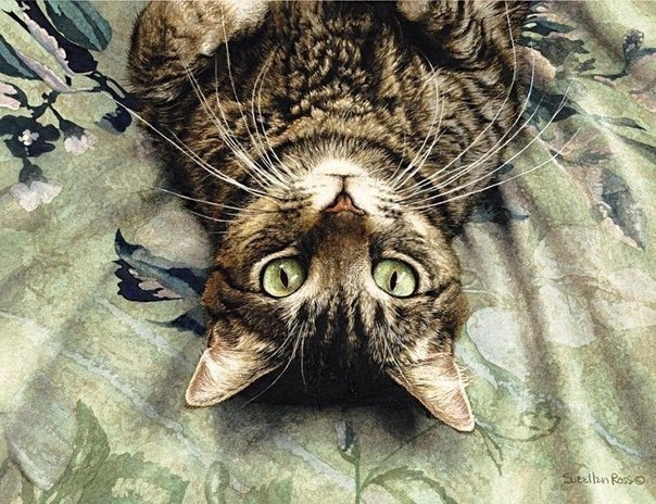 #art@catism. Sueellen Ross - 3