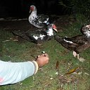 ���� �������, ����� - ��������� 22 ������� 2014 � ������ �������� 2014 ��������-�����