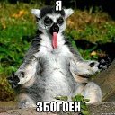 ���� ����, ������, 39 ��� - ��������� 4 ������� 2014