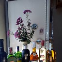 ���� Irina, ����������� - ��������� 14 ������ 2014 � ������ ������