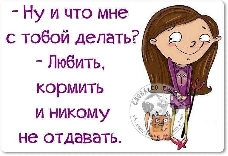 Мама учит ребенка кушать. Кормить мужчину. Кормят друг друга. Завести котенка. Да покормите уже.