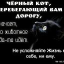 ���� ��������, ���������, 61 ��� - ��������� 29 ������� 2014 � ������ ���� ����������
