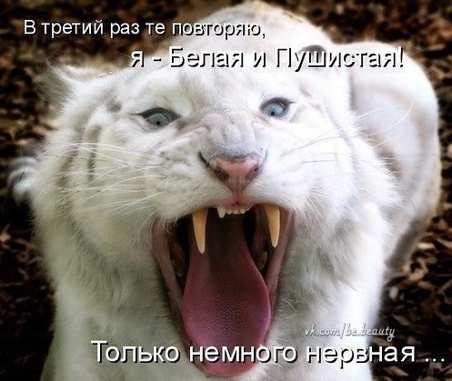      - 20  2014  12:08