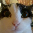 ���� ������, ������ - ��������� 3 ������ 2014 � ������ ������ ��������