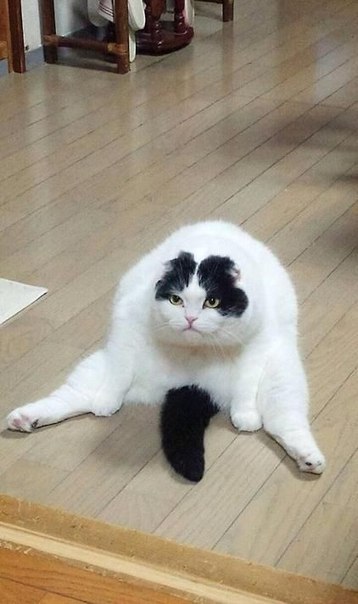 )