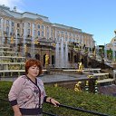       ,
      ,
  ,  ,   
    !   - 2014