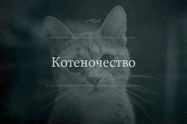  - 3  2014  22:35