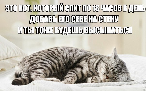    :-) - 1  2014  04:02