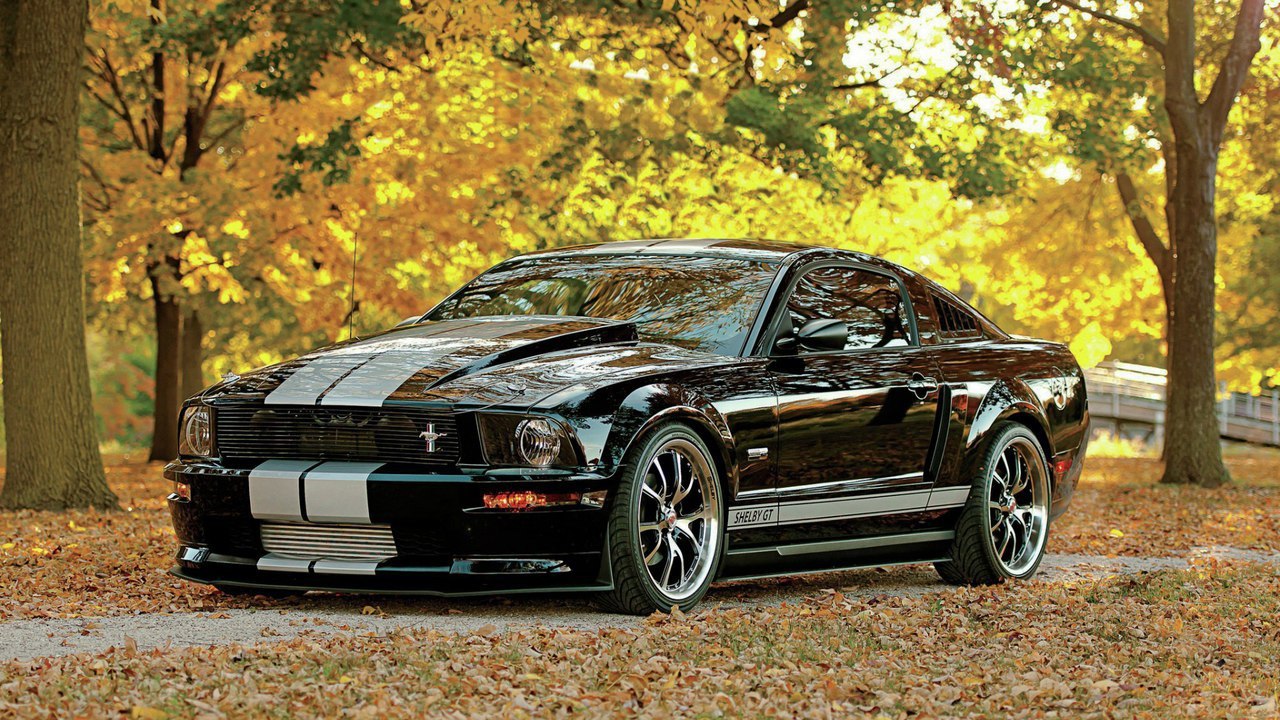 2007 Ford Mustang Shelby GT