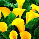 ���� ��������, ������� - ��������� 10 �������� 2014 � ������ ������ ��������