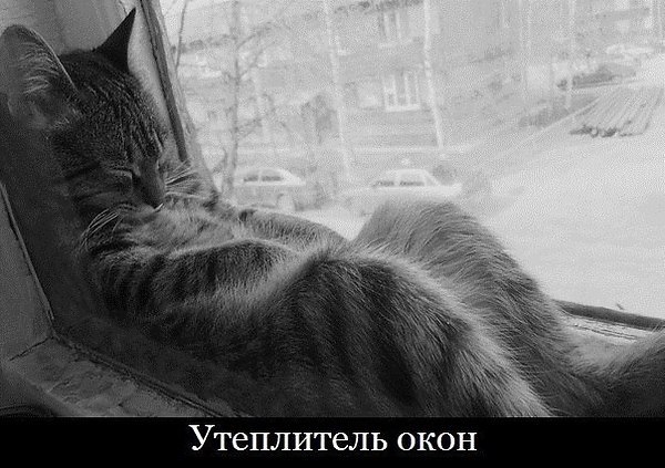   - 4  2014  17:54