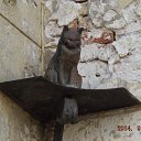 �������� ���� � ����� �� ������� ���� ����������